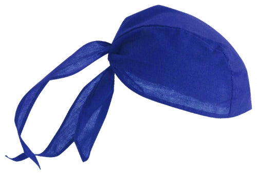 AH820 3 Panel Bandanna